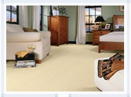 Carpet Cleaning